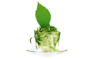 绿茶多少钱一斤